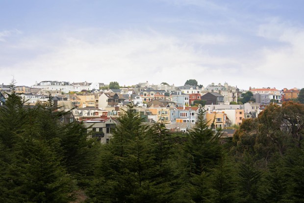 Walking the “Lover’s Lane” trail and Wood Line in the Presidio National Park