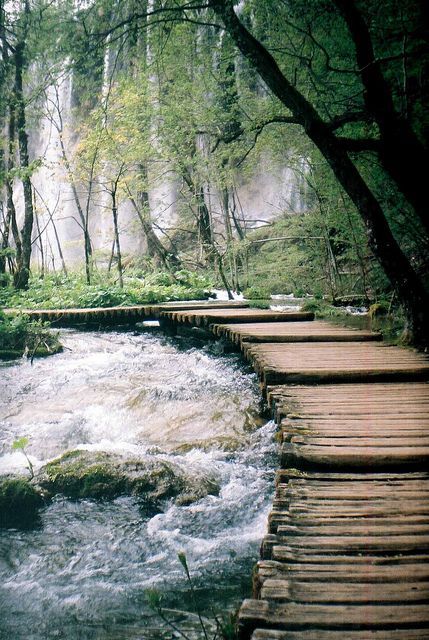 Path in Plitvice Lakes National Park, Croatia