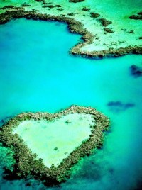 Heart Reef in the Great Barrier Reef, Queensland, Australia