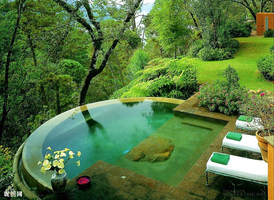 An infinity pool in the forest