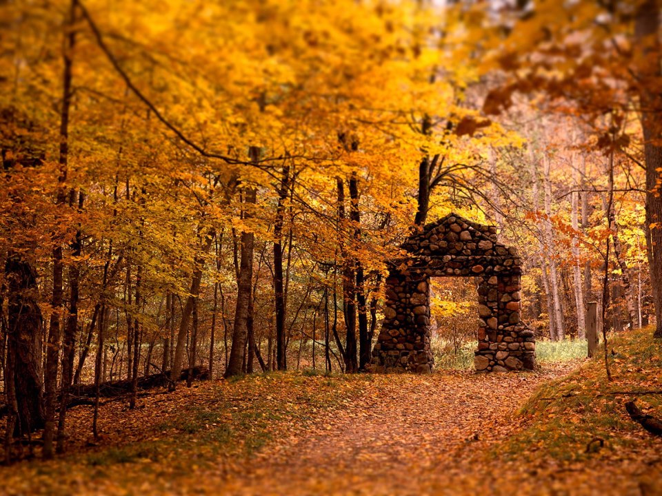 Doorway to Autumn