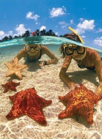 Starfish Beach, Cayman Islands