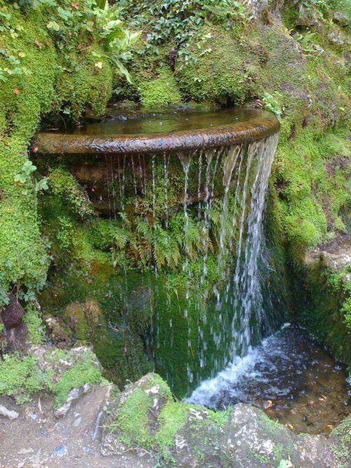 Waterfalls Garden