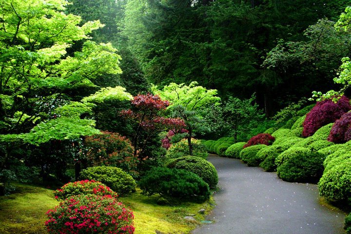 Wonderful Garden , Portland