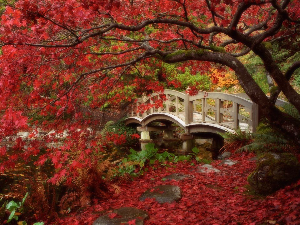 Japanese Garden, Royal Roads University, Canada