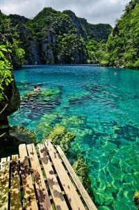 Kayangan Lake, Coron islands, Palawan, Philippines