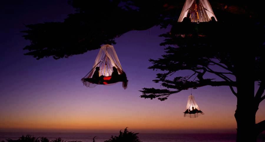 Tree Camping on the Pacific Coast; Elk, California, USA