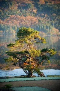 TreeHouse on Loch Goil in Scotland