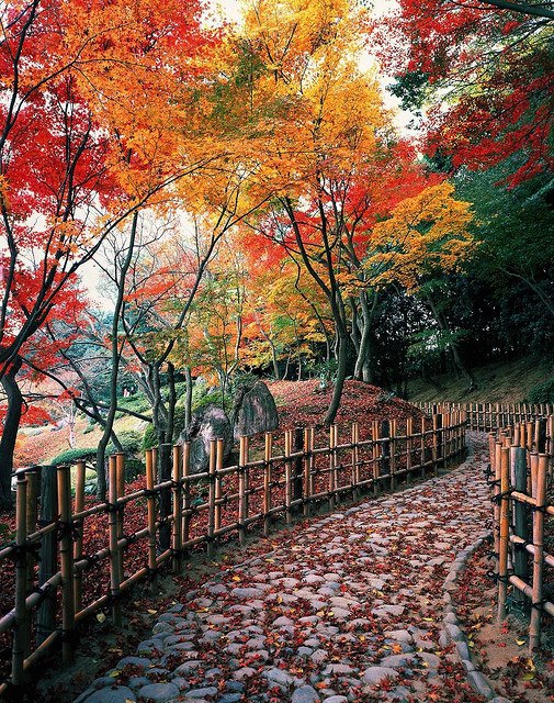 Autumn colors in Ritsurin Park , Takamatsu , Japan