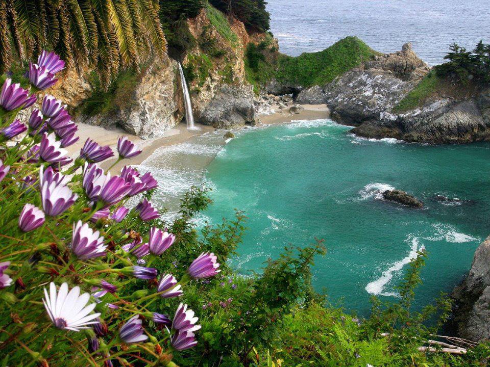The McWay Falls, California State Park, USA
