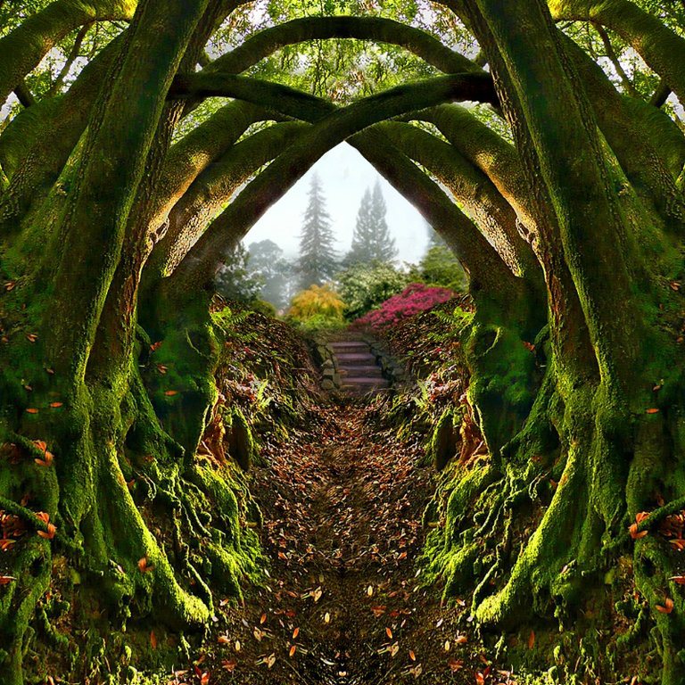 Garden Entrance , Redwood Regional Park , Oakland , California , USA