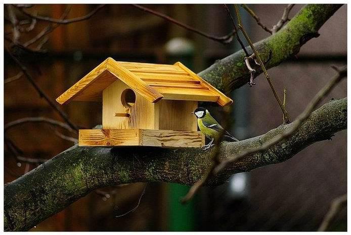Lovely Bird House