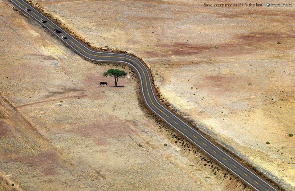 Save every tree as if it's the last, Save Tree ... Save Nature