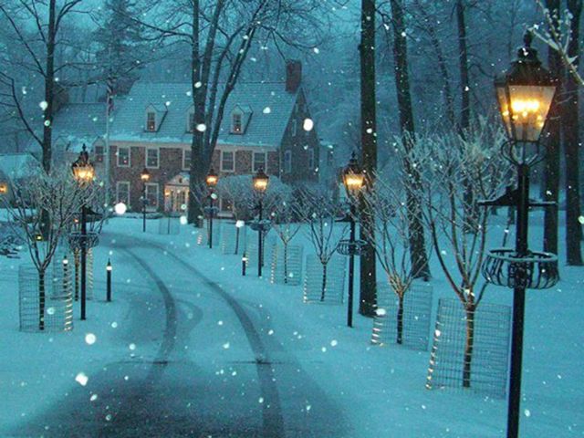 Snowy Lane , New Hope , Pennsylvania , USA