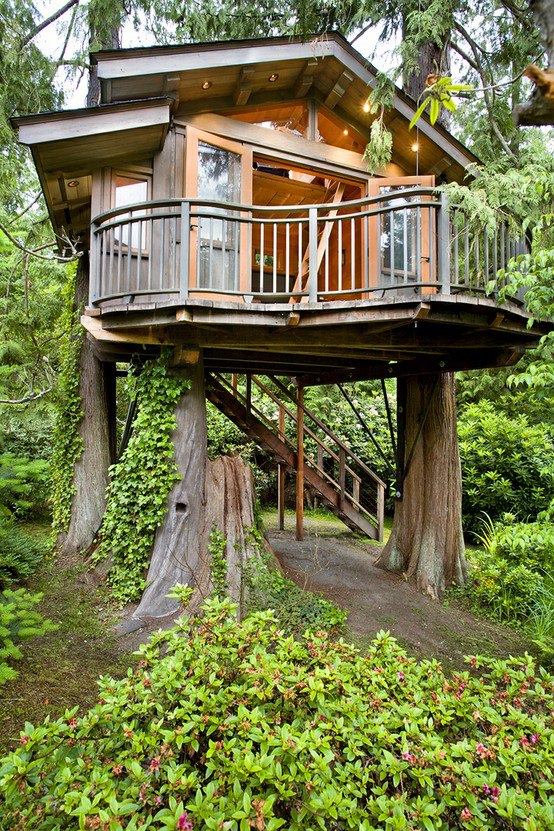 The Most Beautiful Tree House in The World