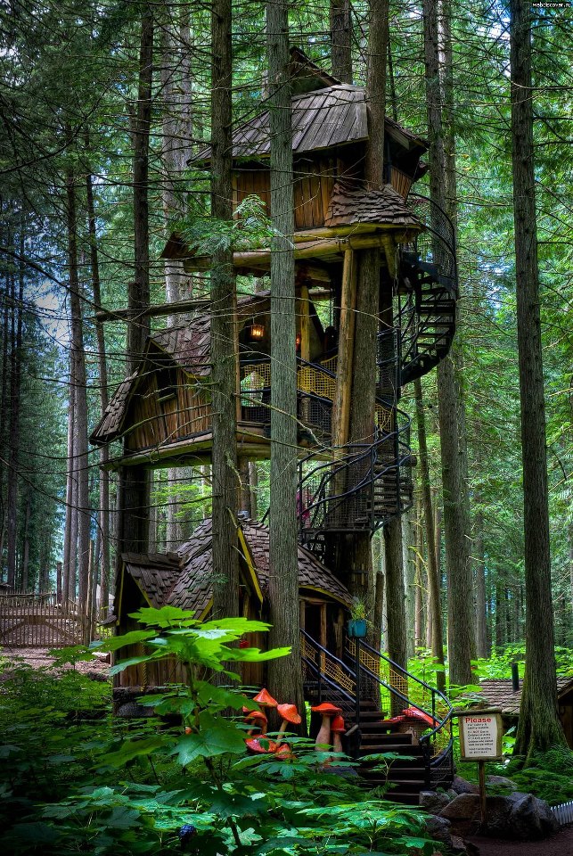 Three Story Tree House , British Columbia , Canada