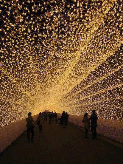 Tunnel of lights , Japan