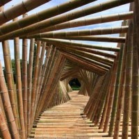 Amazing Bamboo tunnel, Kyoto, Japan