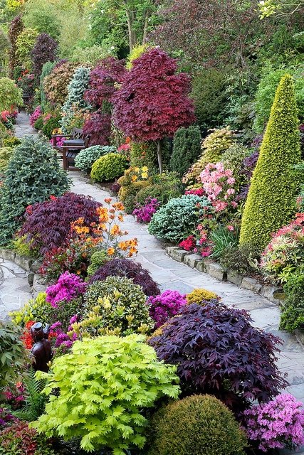 Beautiful combination of shrubs, trees and flowers