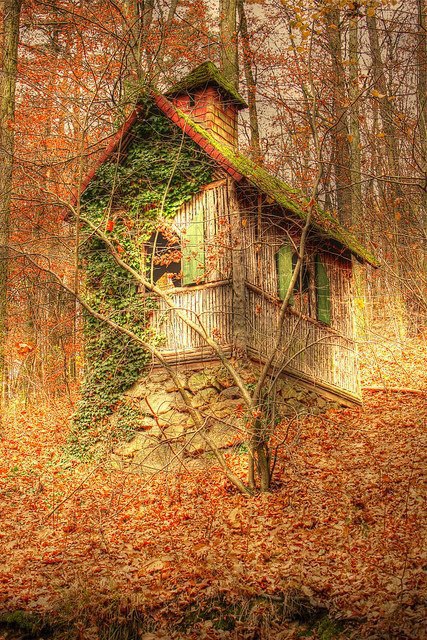 Forest Cottage, Herbst, Germany