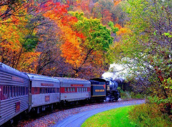 Wonderful View of Autumn Train