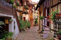 Cobblestone Street , Alsace , France