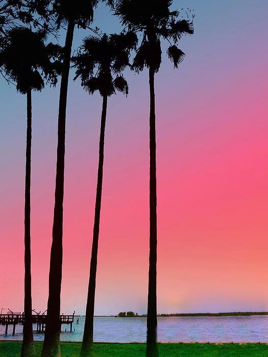 Sunset , Dunedin , Florida , USA