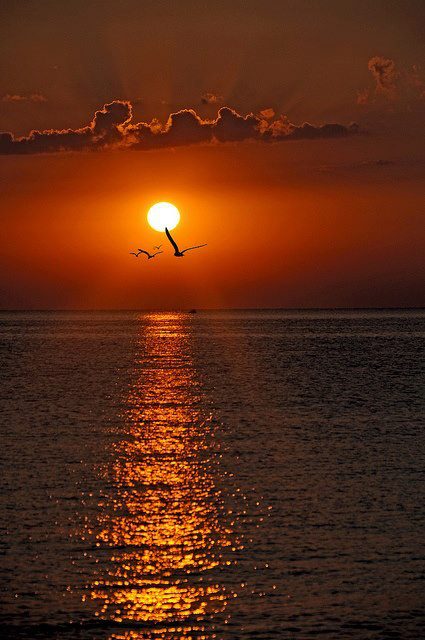 Beautiful sunrise on The Black Sea , Varna , Bulgaria