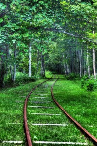 Forest Rails , Hokkaido , Japan