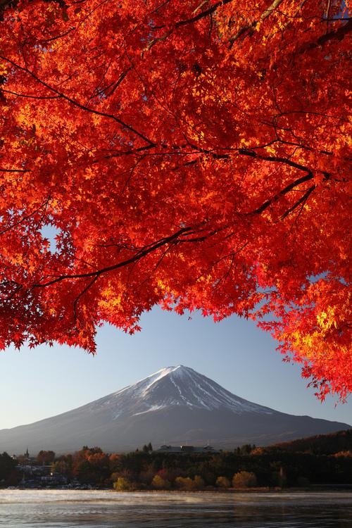 Autumn, Mt. Fuji, Japan
