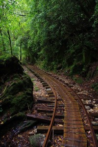 Forest Railway, Yakushima Island, Kagoshima, Japan