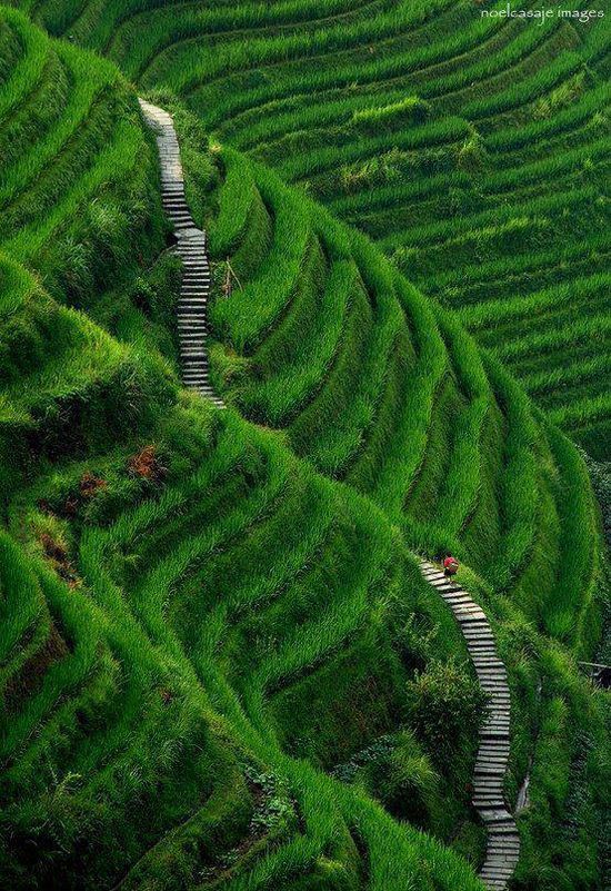 Stairway to Heaven, Longsheng, Guilin County, China