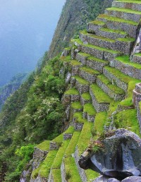 Stone terrace at Machu Picchu, Peru