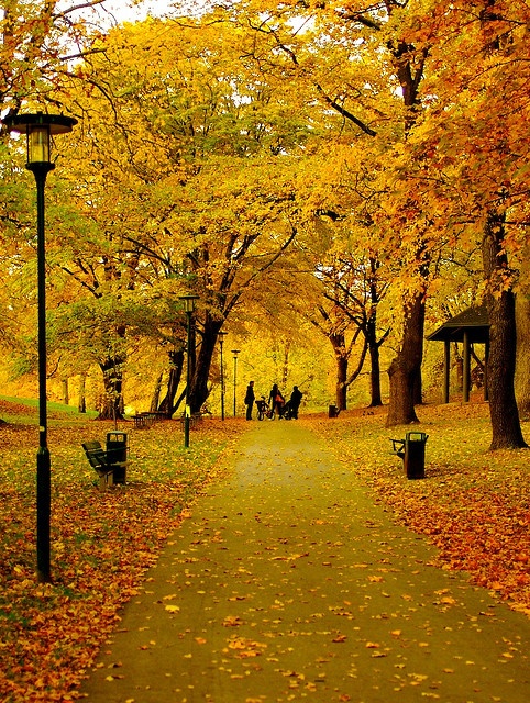 Autumn in Stockholm, Sweden