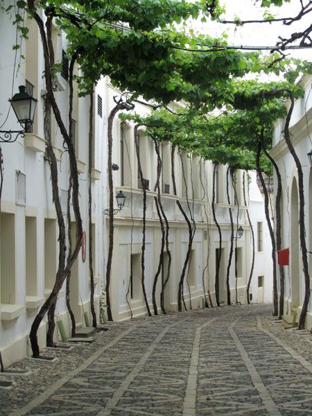 Street of Jerez, Spain