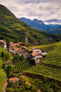 Ritten Vineyards, Renon, Trentino-Alto Adige, Italy