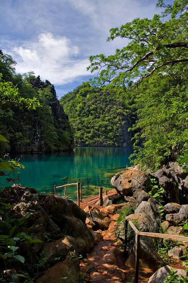 Kayangan Lake, Coron Islands, Palawan, Philippines