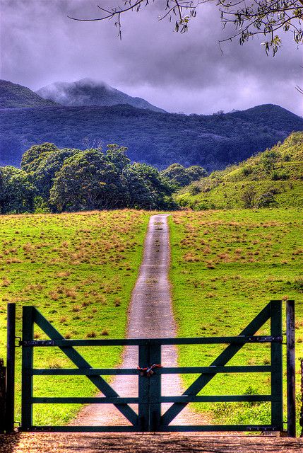 "The Road To" in Hana Maui, Hawaii