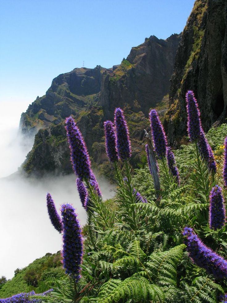 Pico do Arieiro, Madeira island, Portugal
