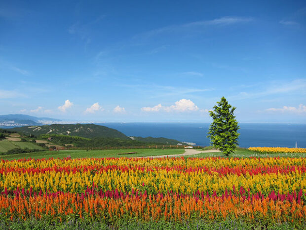 Awaji Island, Japan