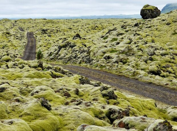 Eldfraun ,Iceland