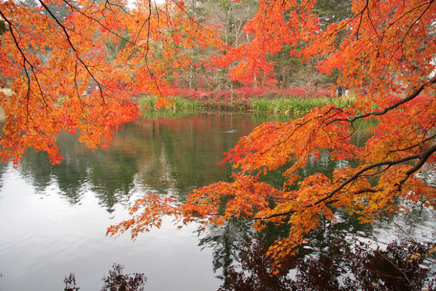 Karuizawa ,Japan